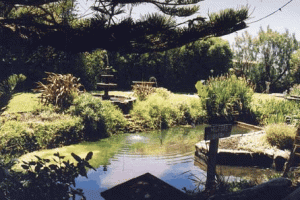 Bayside Gardens - Lismore Accommodation