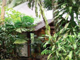 Heritage Lodge and Spa - In the Daintree - Lismore Accommodation