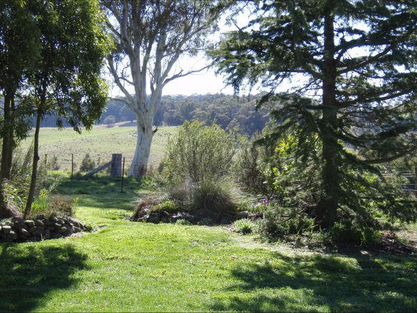 Avaleigh Elms Farmstay - Lismore Accommodation